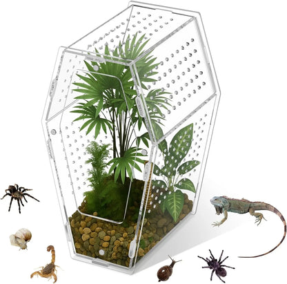 Acrylic Jumping Spider Habitat, Clear Insect & Reptile Terrarium Enclosure Clear