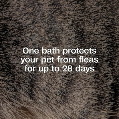 Adams Plus Flea & Tick Shampoo with Precor IGR – Kills Fleas, Ticks & Lice, 12 oz