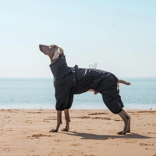 Adjustable Waterproof Dog Raincoat with Harness Reflective 4-Leg Jacket S–5XL