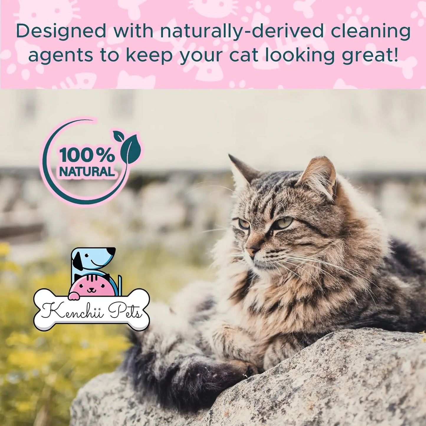 All-Natural Cat Detangler Spray, Moisturizing Coat Shine Conditioner for Kittens