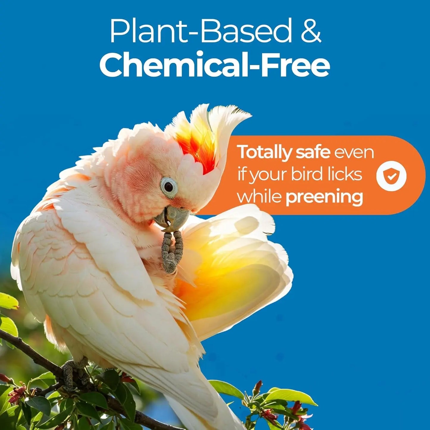 Aloe Vera Bird Spray for All Birds, Soothing Feather & Skin Mist, 8 oz