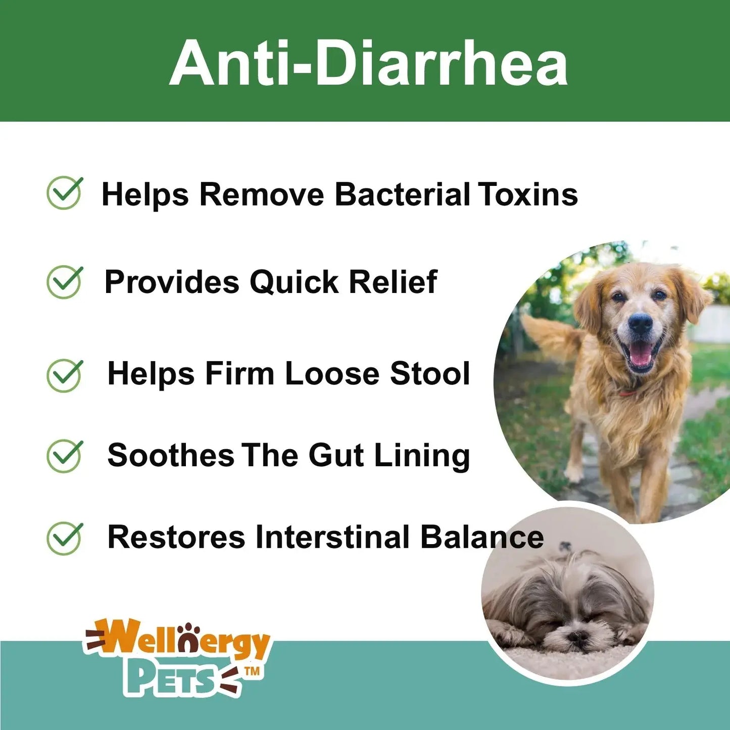 Anti-Diarrhea for Dogs & Cats – 4 oz | Fast Relief for Upset Stomach, Gas & Loose Stool
