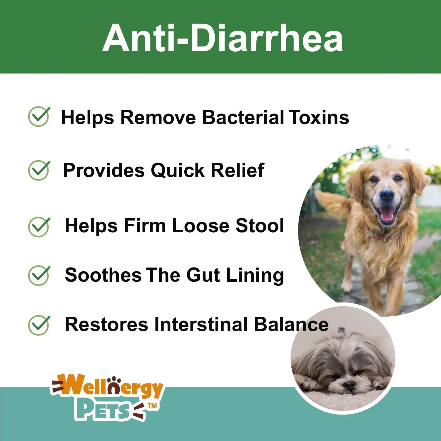 Anti-Diarrhea for Dogs & Cats – 4 oz | Fast Relief for Upset Stomach, Gas & Loose Stool