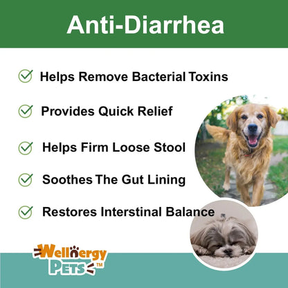 Anti-Diarrhea for Dogs & Cats – 4 oz | Fast Relief for Upset Stomach, Gas & Loose Stool