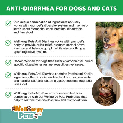 Anti-Diarrhea for Dogs & Cats – 4 oz | Fast Relief for Upset Stomach, Gas & Loose Stool