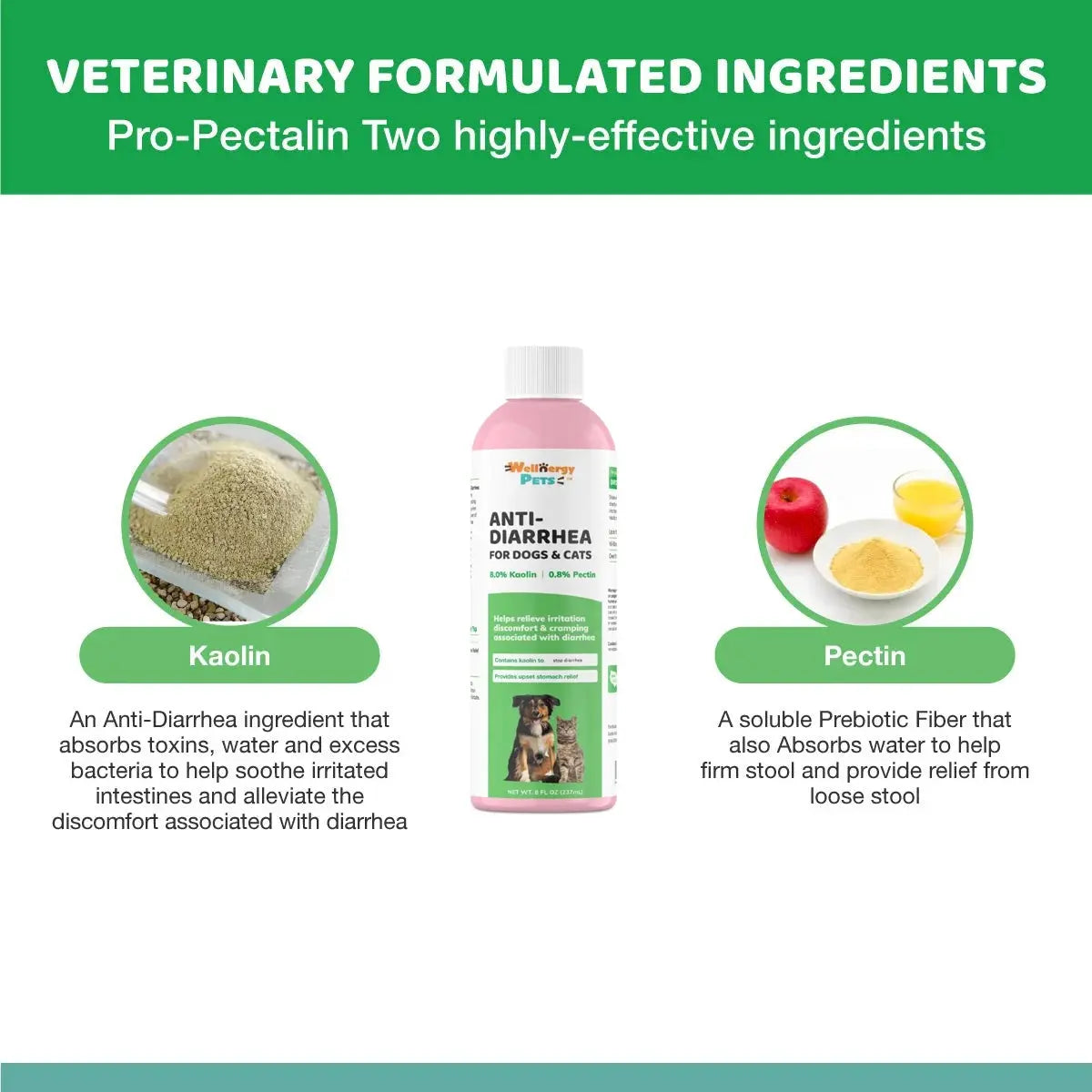 Anti-Diarrhea for Dogs & Cats – 4 oz | Fast Relief for Upset Stomach, Gas & Loose Stool