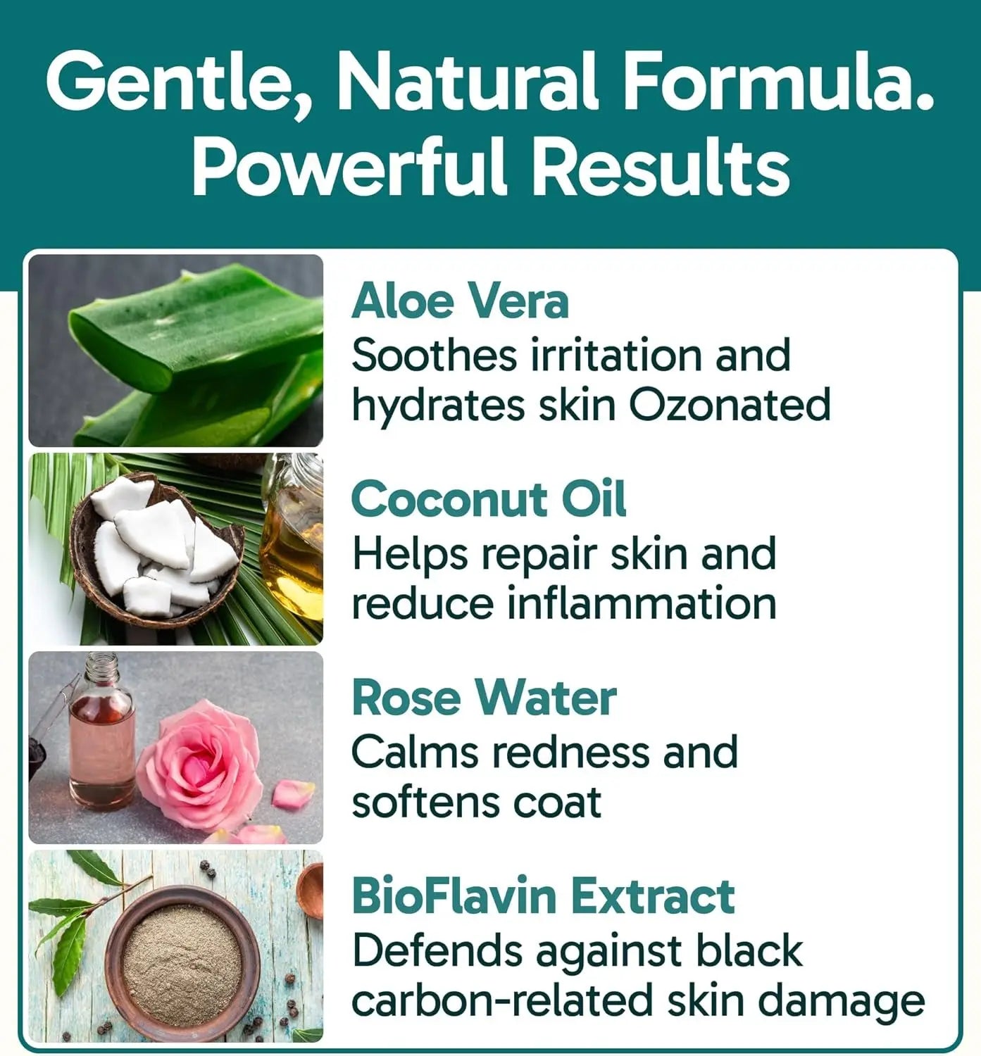 Anti-Itch Pet Skincare Spray for Dogs –Aloe, Rose & Coconut Hot Spot Relief