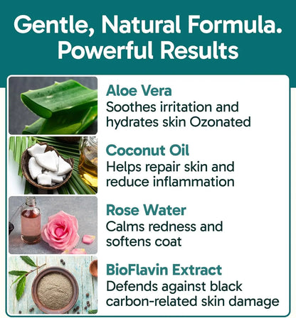 Anti-Itch Pet Skincare Spray for Dogs –Aloe, Rose & Coconut Hot Spot Relief