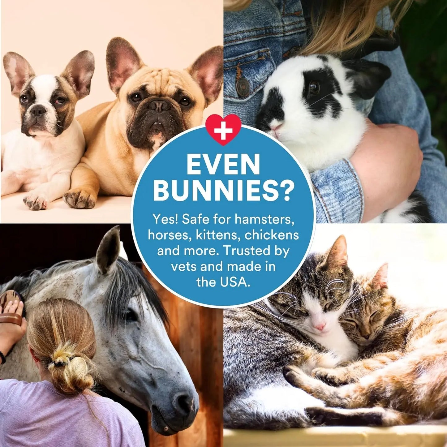 Antimicrobial Wound Spray for Dogs & Cats Hypochlorous Healing 8oz