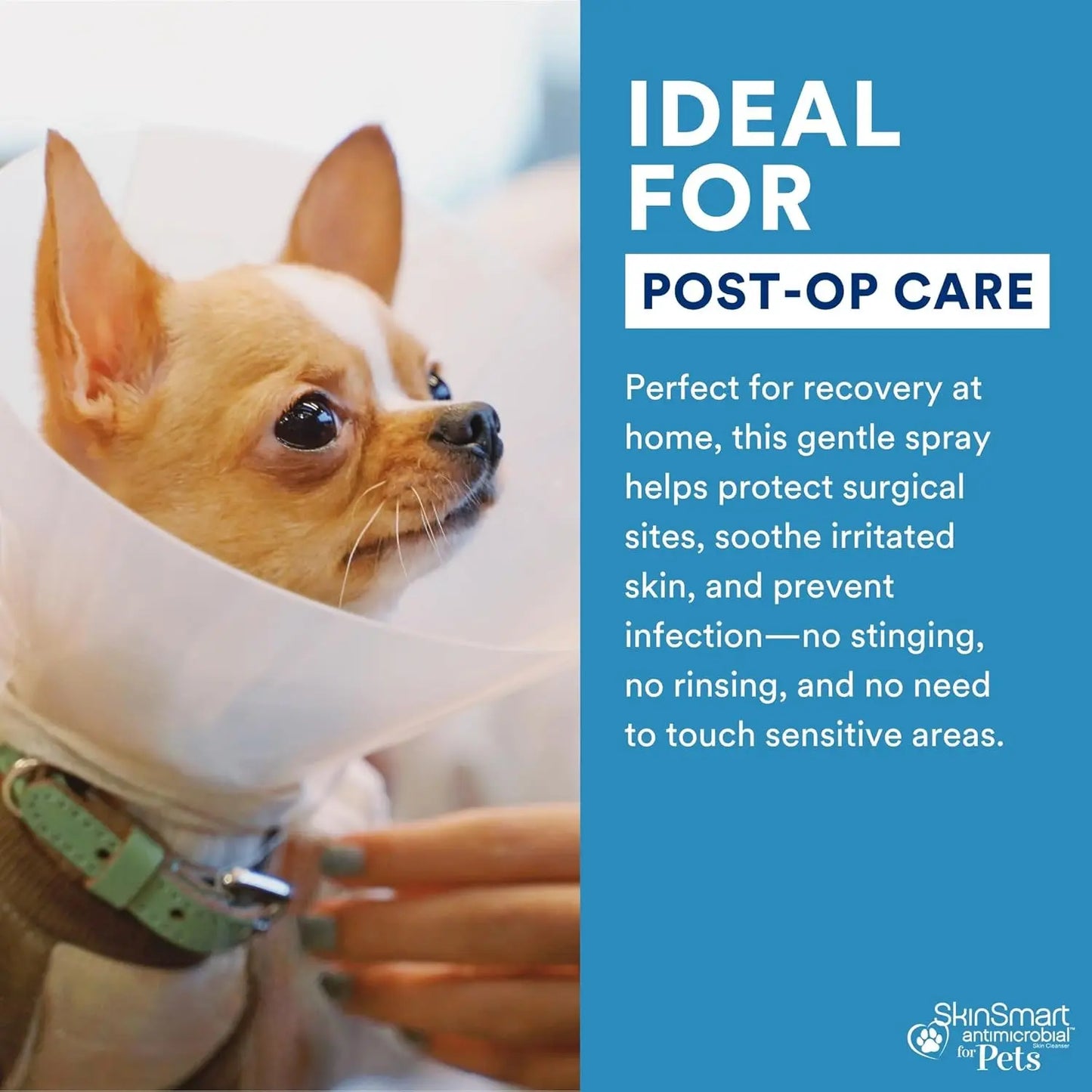 Antimicrobial Wound Spray for Dogs & Cats Hypochlorous Healing 8oz