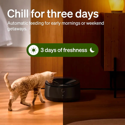 Automatic Cat Feeder for Wet Food – 3-Day Cooling Smart Feeder w/ App Control