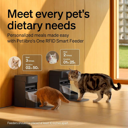 Automatic Cat Feeder with Collar Sensor & App Control for Multi-Cat Homes
