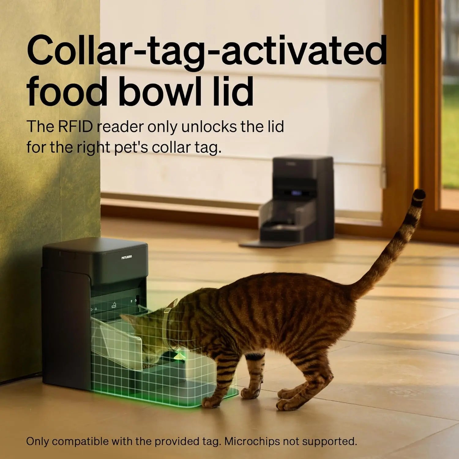 Automatic Cat Feeder with Collar Sensor & App Control for Multi-Cat Homes