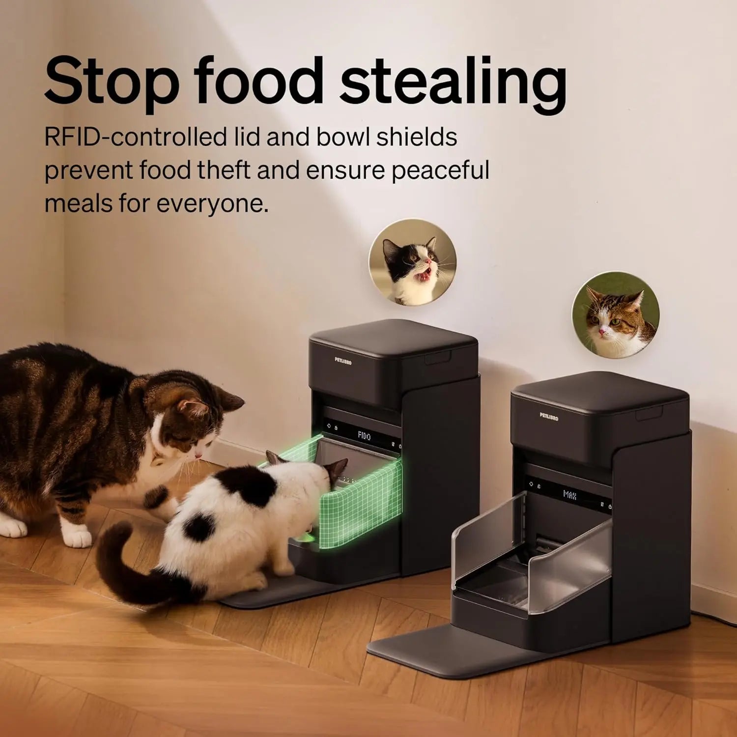 Automatic Cat Feeder with Collar Sensor & App Control for Multi-Cat Homes