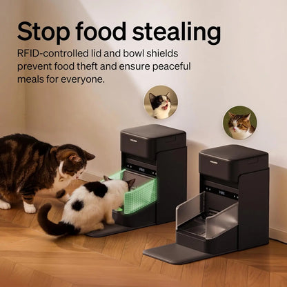 Automatic Cat Feeder with Collar Sensor & App Control for Multi-Cat Homes