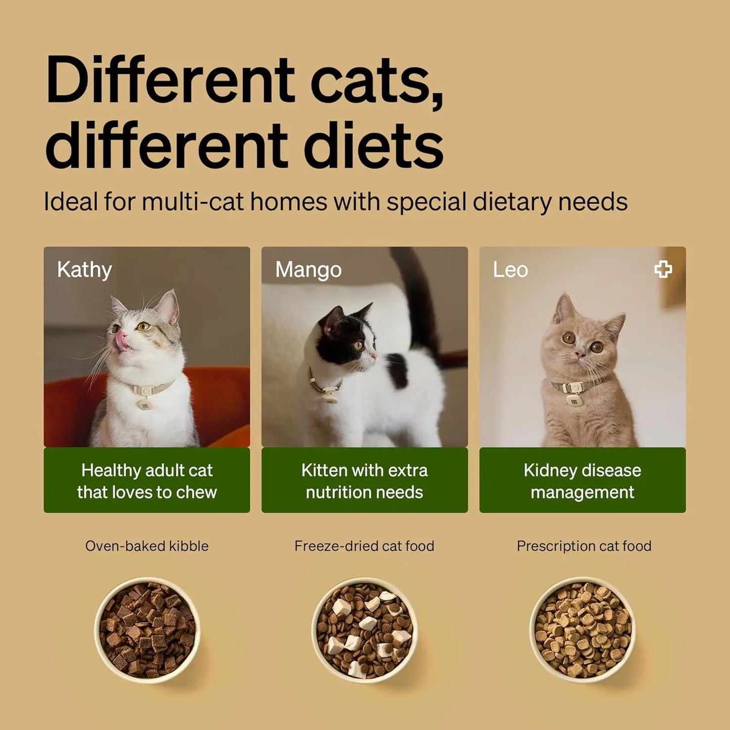 Automatic Cat Feeder with Collar Sensor & App Control for Multi-Cat Homes