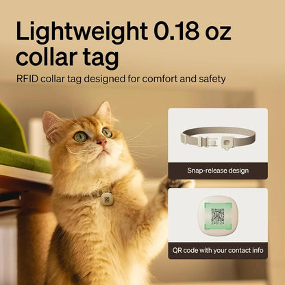 Automatic Cat Feeder with Collar Sensor & App Control for Multi-Cat Homes