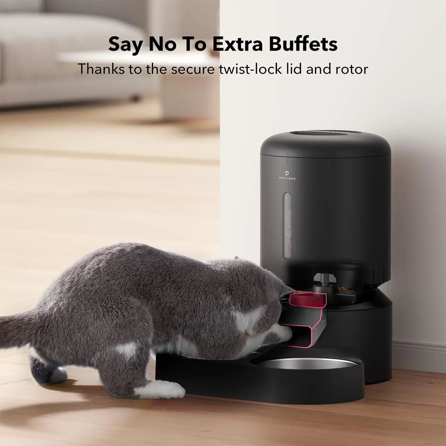 Automatic Cat Feeder with Timer, 6 Meals/Day, Freshness Lock & Low Food Sensor. Smart Dry Food Dispenser for Cats & Dogs
