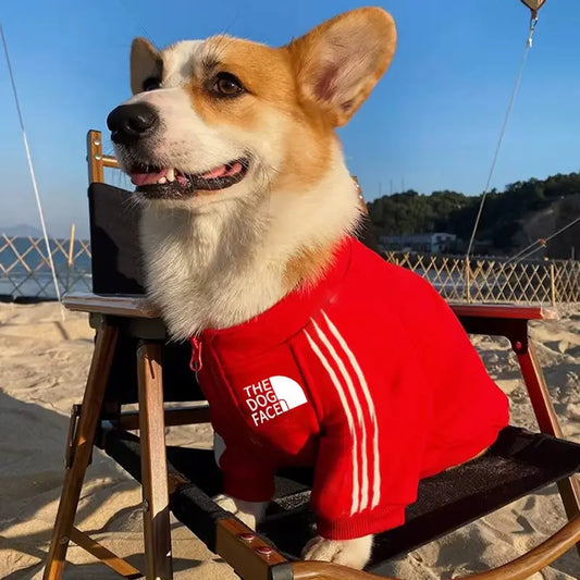 Autumn & Winter Zipper Fleece Dog Hoodie– For Small, Medium & Large Dogs (XS-8X)