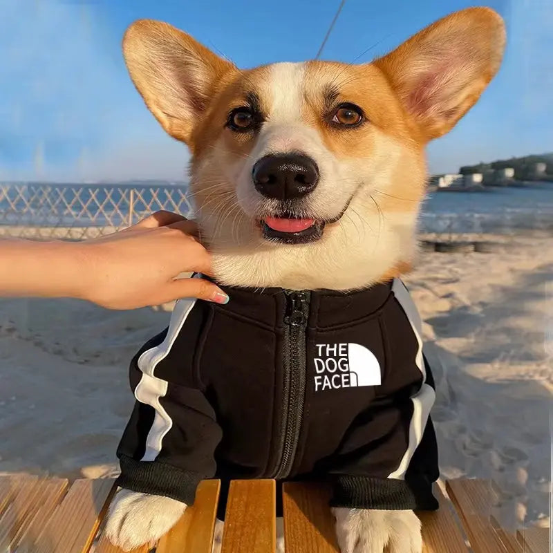 Autumn & Winter Zipper Fleece Dog Hoodie– For Small, Medium & Large Dogs (XS-8X)