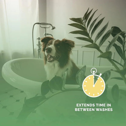 Bark2Basics Long Lasting Scents Professional Pet Cologne for Dogs & Cats, 8oz