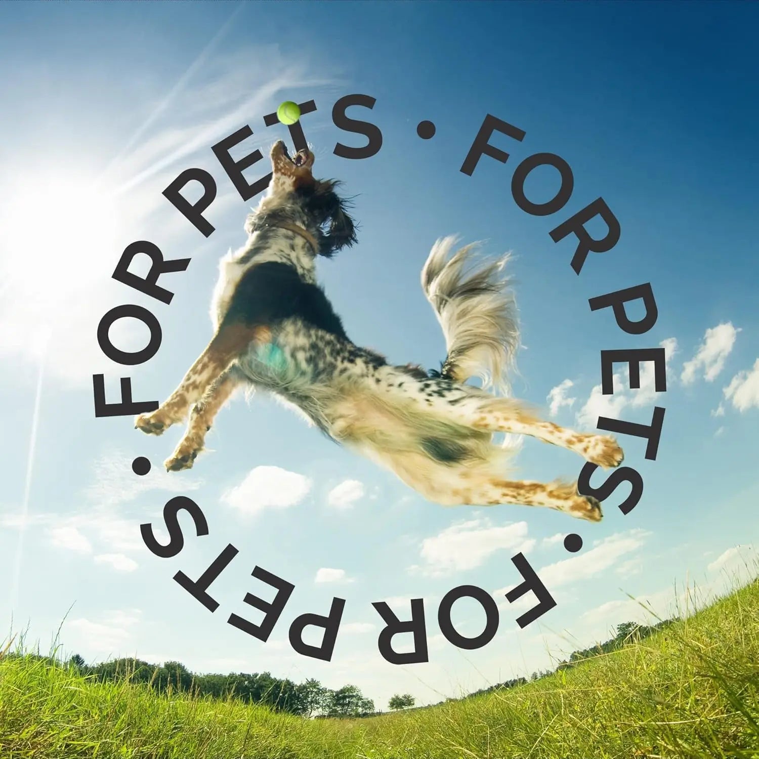 Bark2Basics Long Lasting Scents Professional Pet Cologne for Dogs & Cats, 8oz