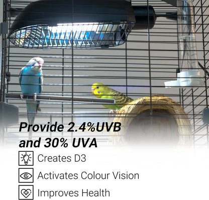 Bird Cage UVB Light Fixture Kit 20W UVA UVB Lamp for Aviary Health
