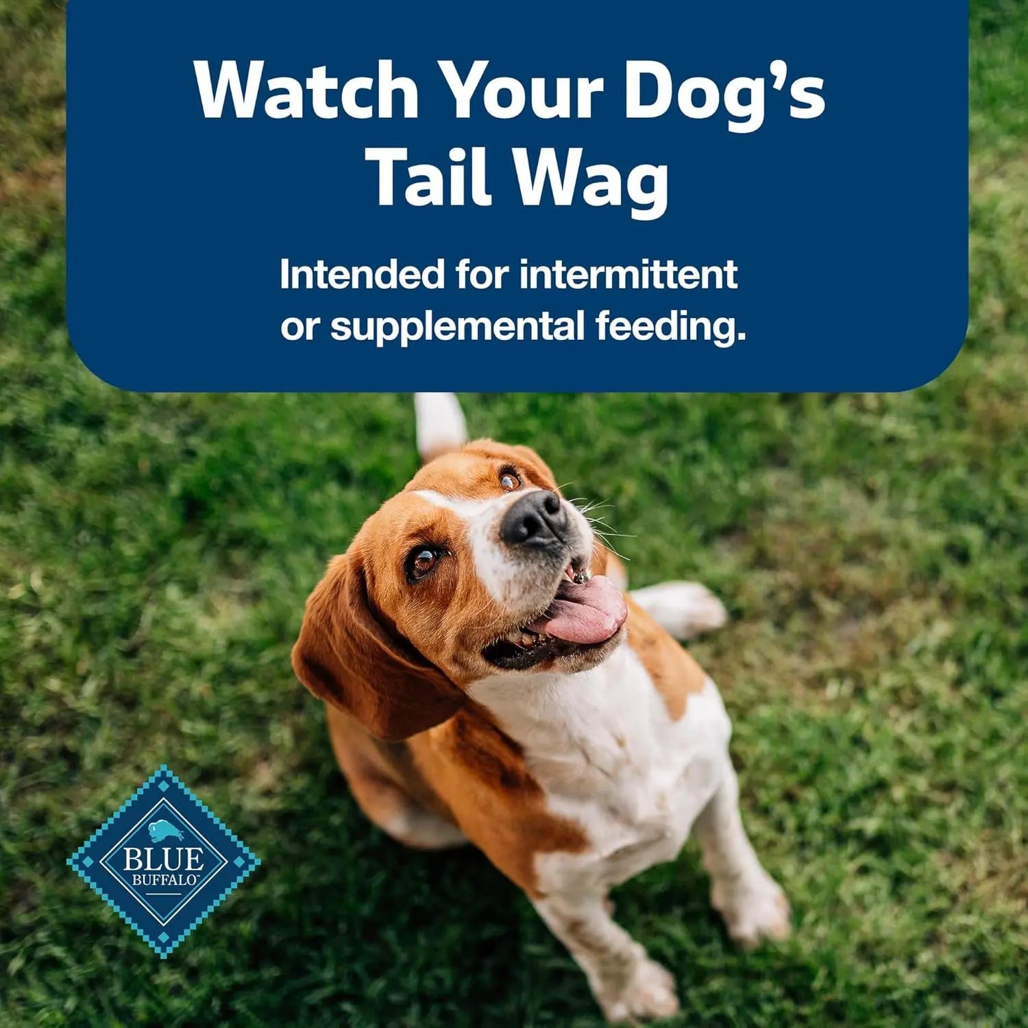 Blue Buffalo Stix Soft Dog Treats Beef 1oz ToGo 12 Pack Natural