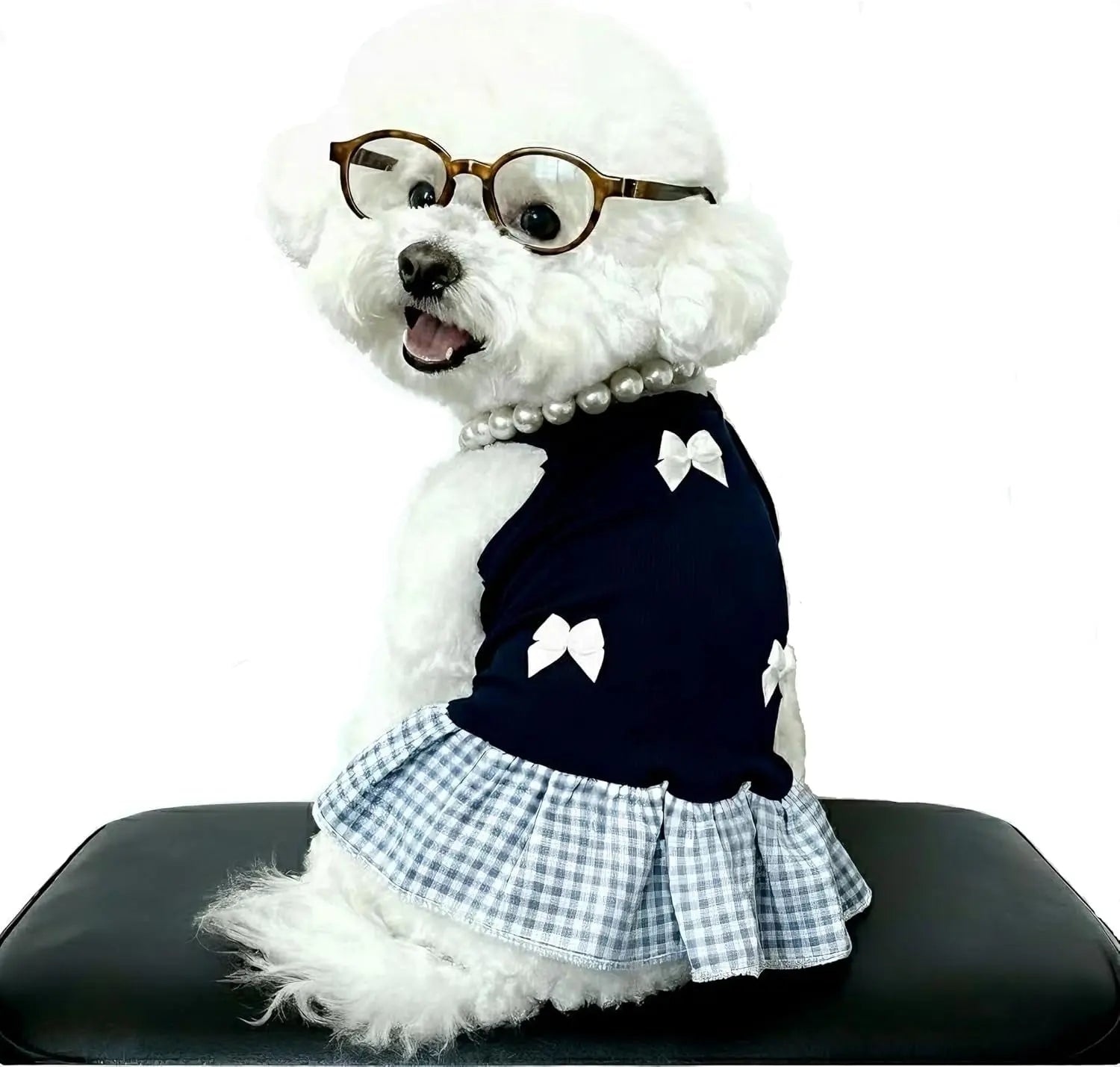 Blue Plaid Small Dog or Cat Dress w/ Glasses & Pearl Necklace Small Dogs
