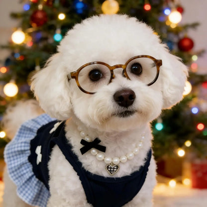Blue Plaid Small Dog or Cat Dress w/ Glasses & Pearl Necklace Small Dogs
