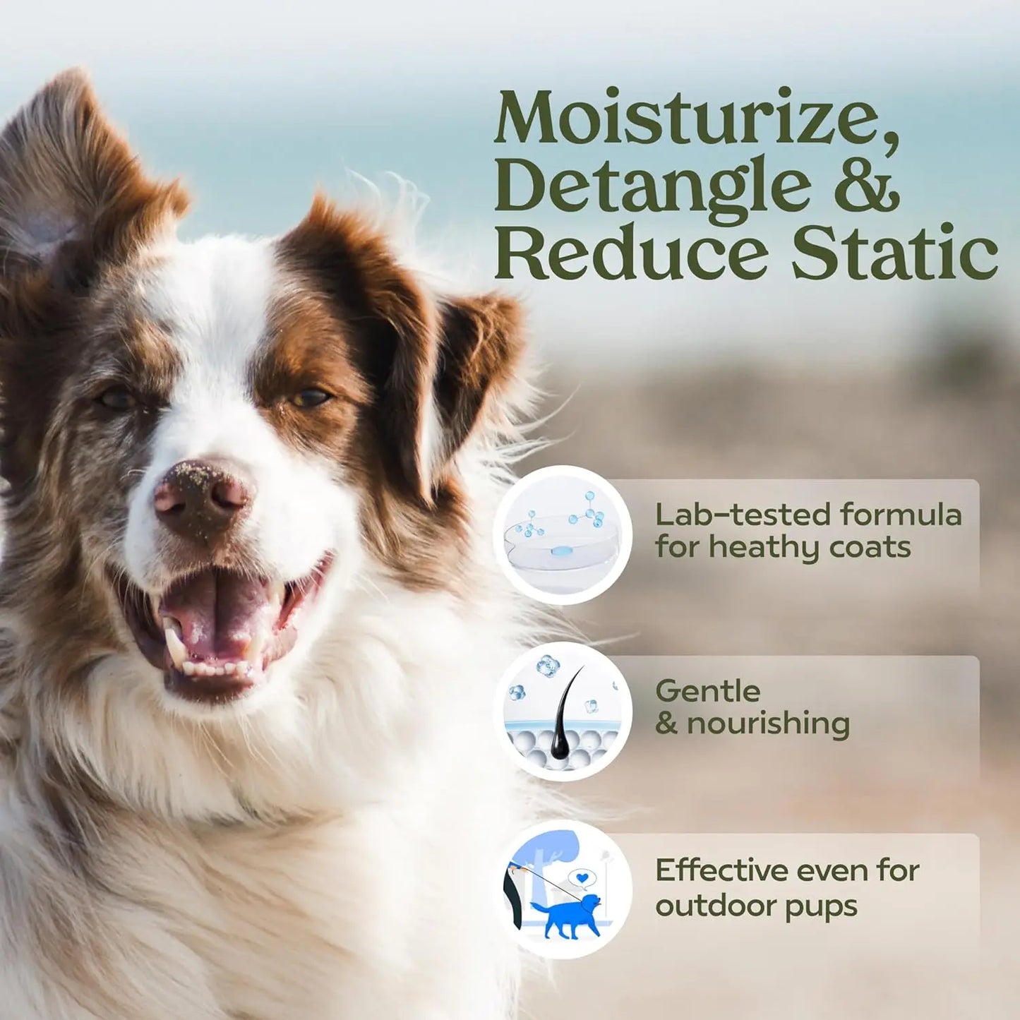 Blue Ribbon Eco Friendly Dog Perfume: Alcohol-Free, Probiotic Deodorizer & Detangler