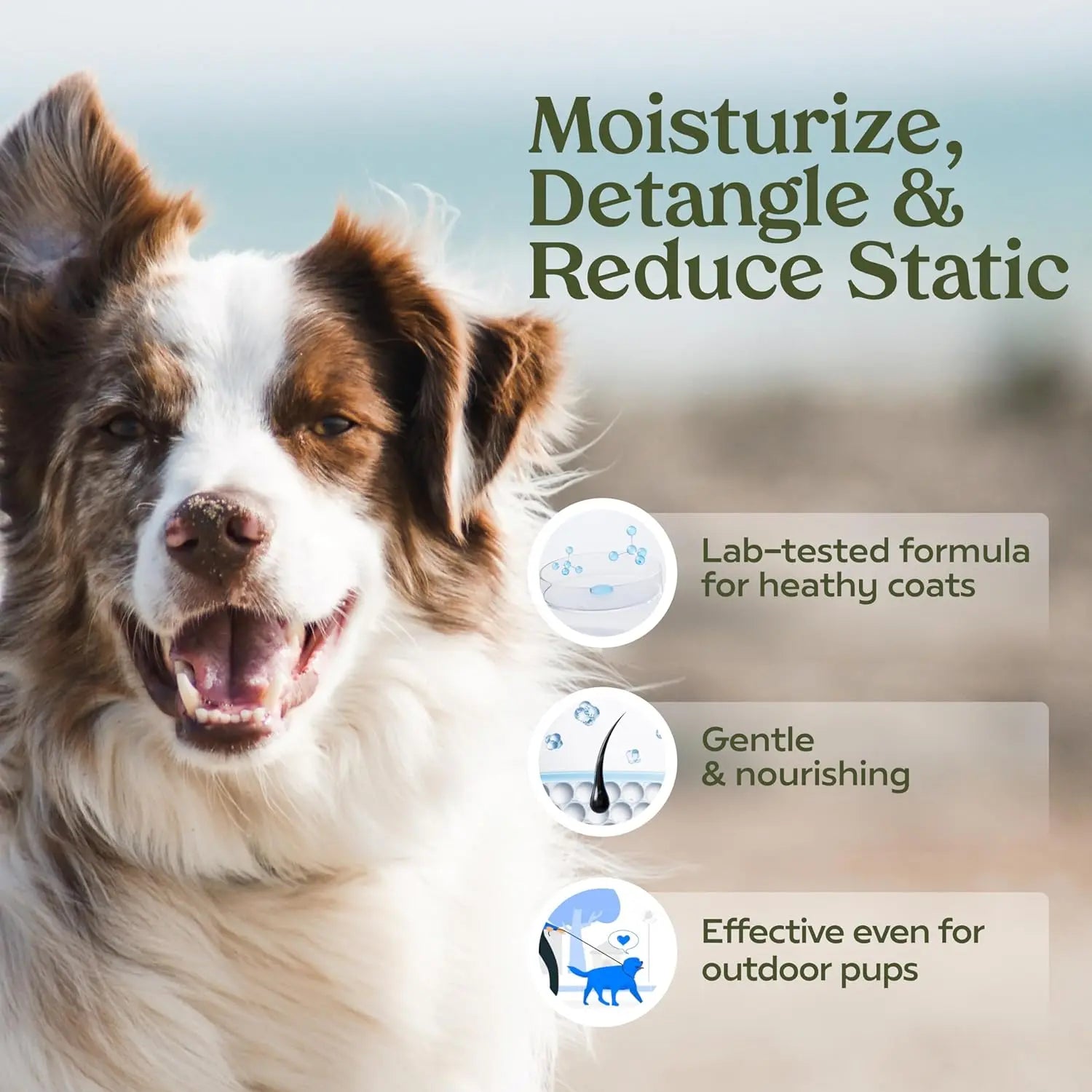 Blue Ribbon Eco Friendly Dog Perfume: Alcohol-Free, Probiotic Deodorizer & Detangler