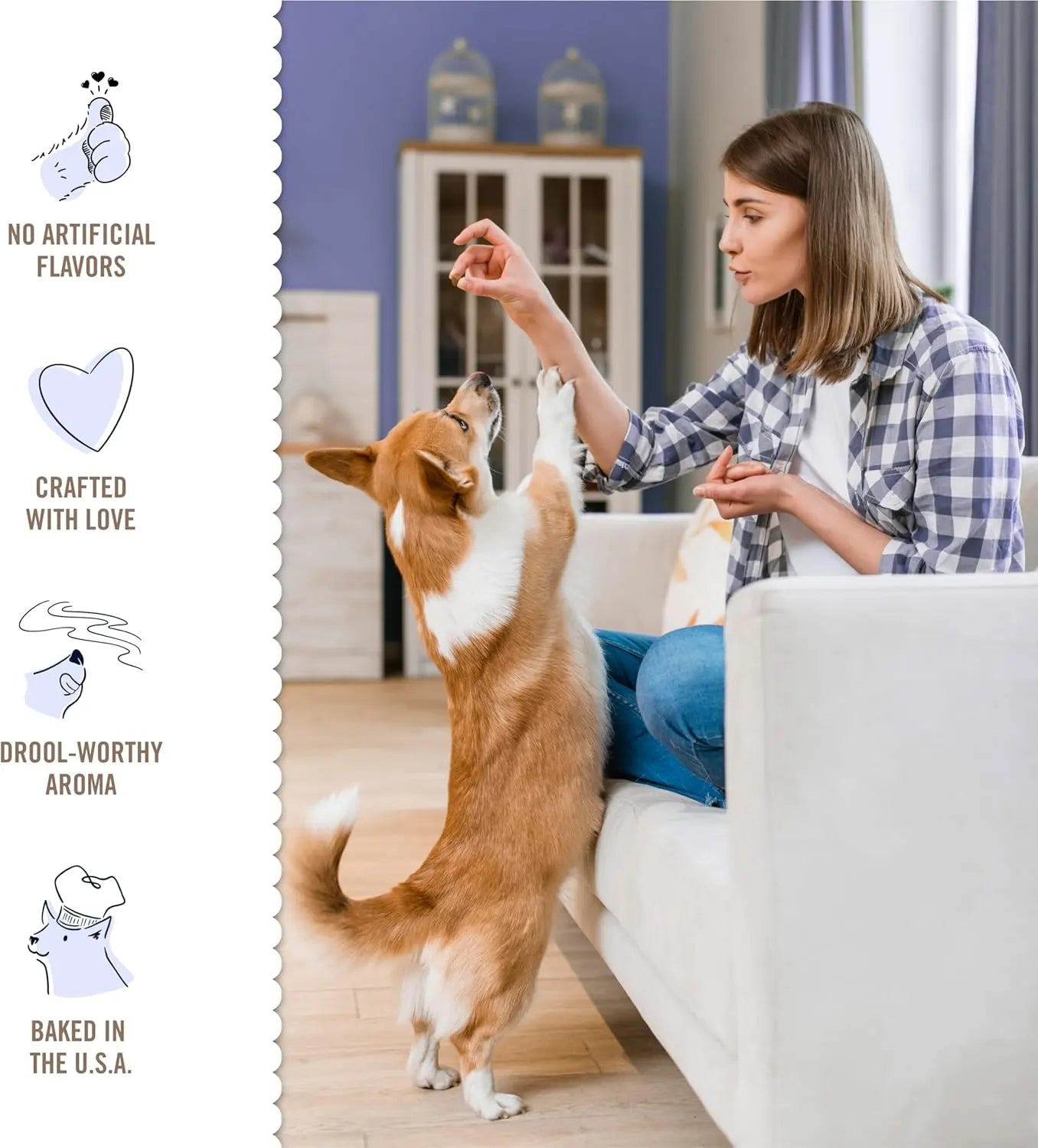 Blueberry Pie Lick’N Crunch Dog Cookies – Real Blueberries, Puppy Treat & Snack