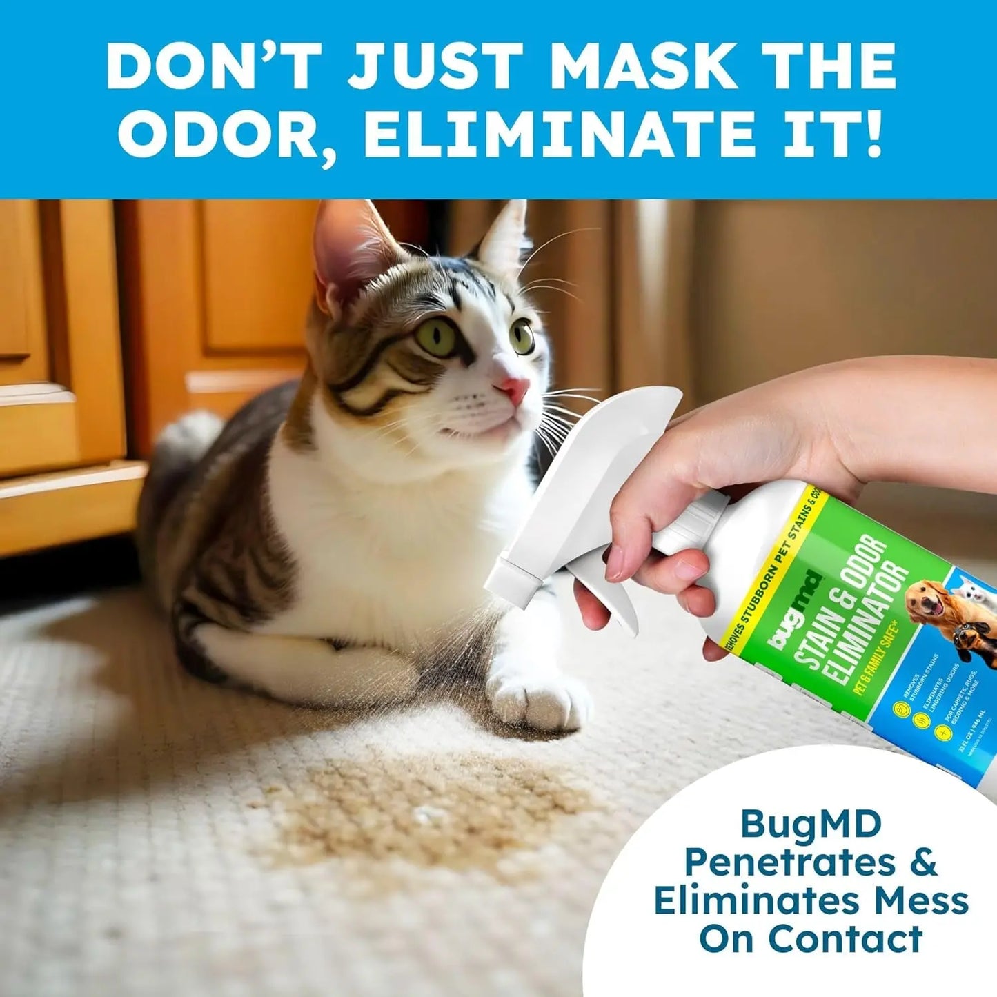 BugMD Enzyme Cleaner Pet Urine Stain Odor Remover Unscented Carpet Spray