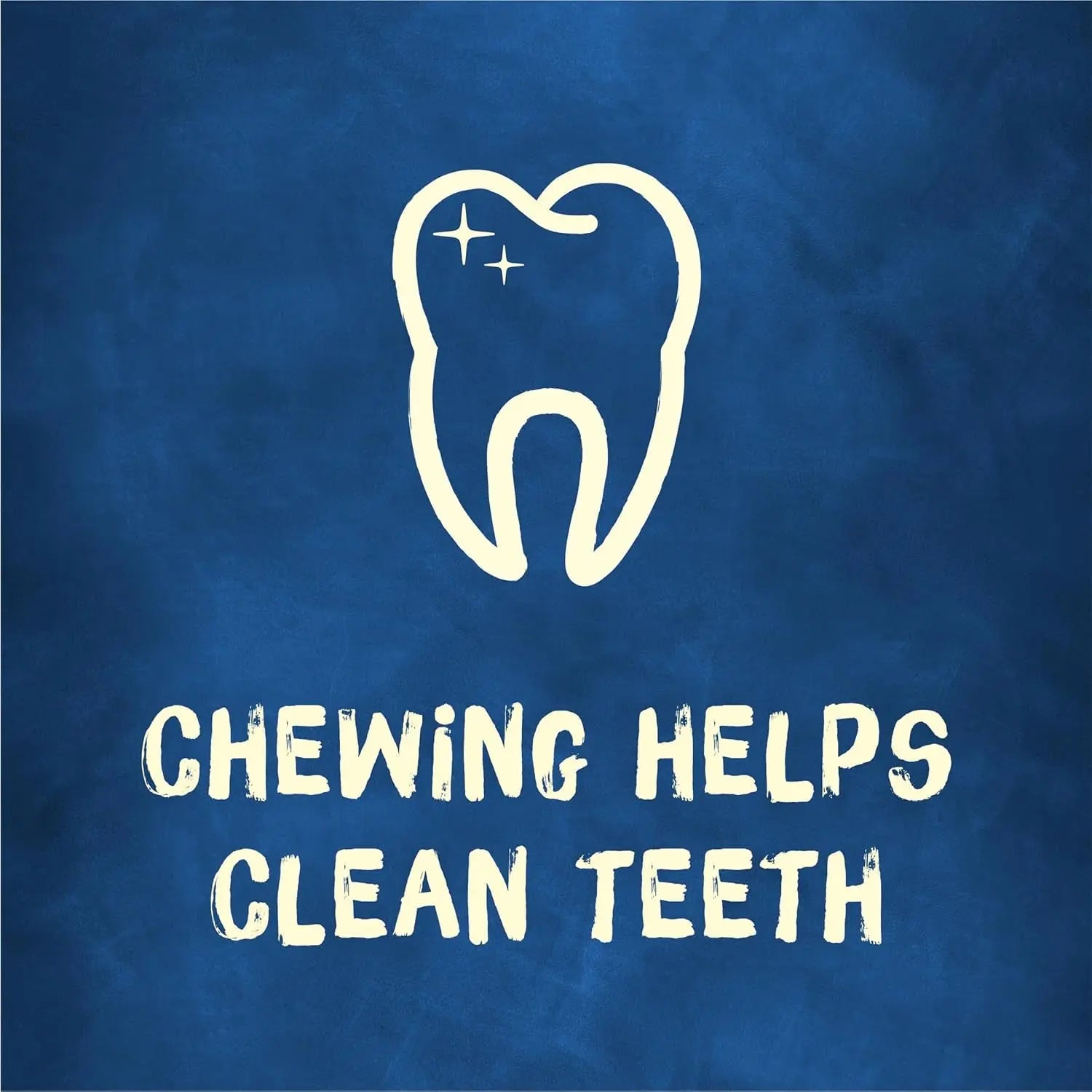 Busy Bone Small Dog Chew Treats Rawhide Free Long Lasting 60 Count