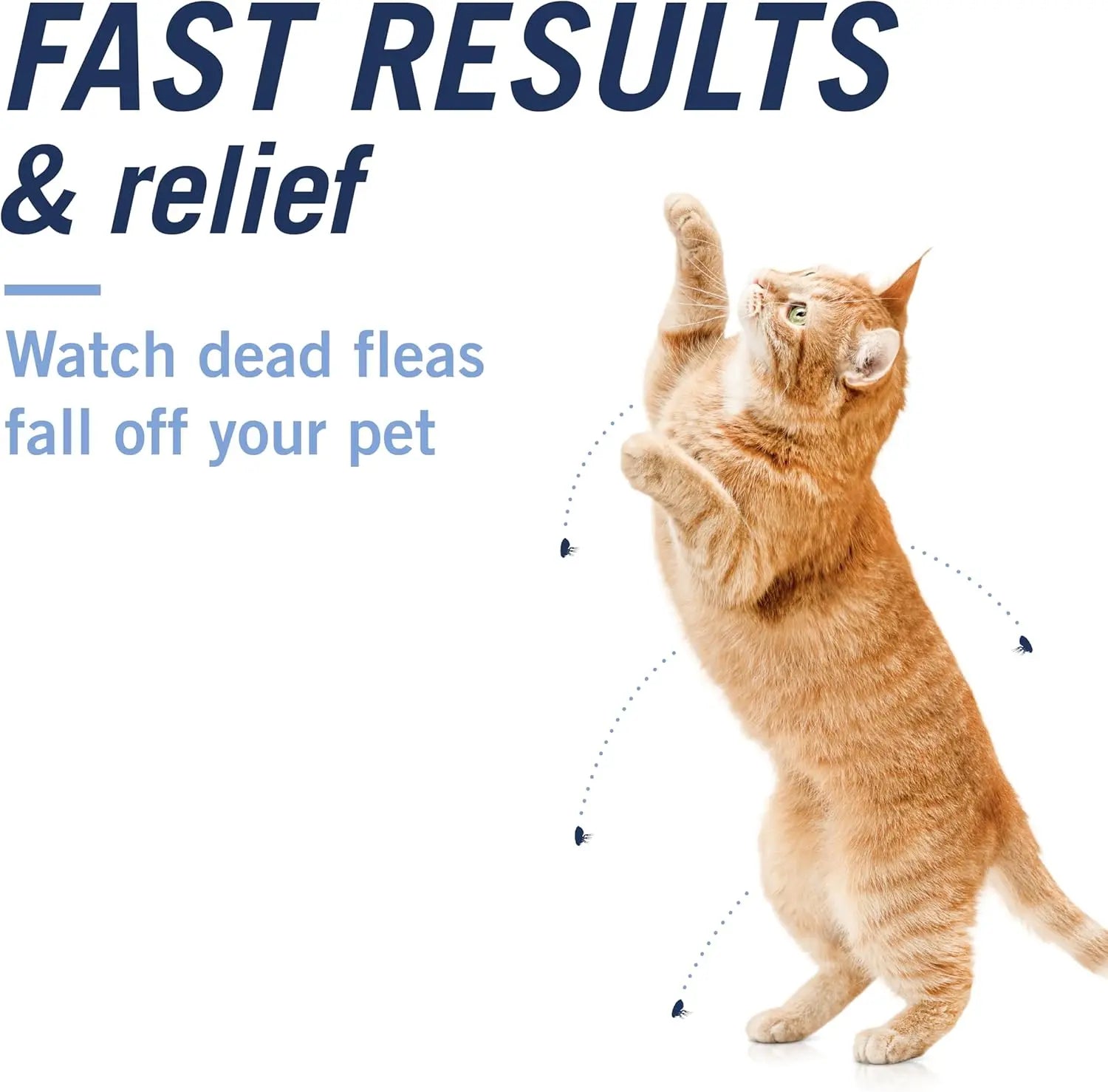CAPACTION Oral Flea Tablets for Cats 2–25 lbs – 6 Doses, Fast-Acting Relief