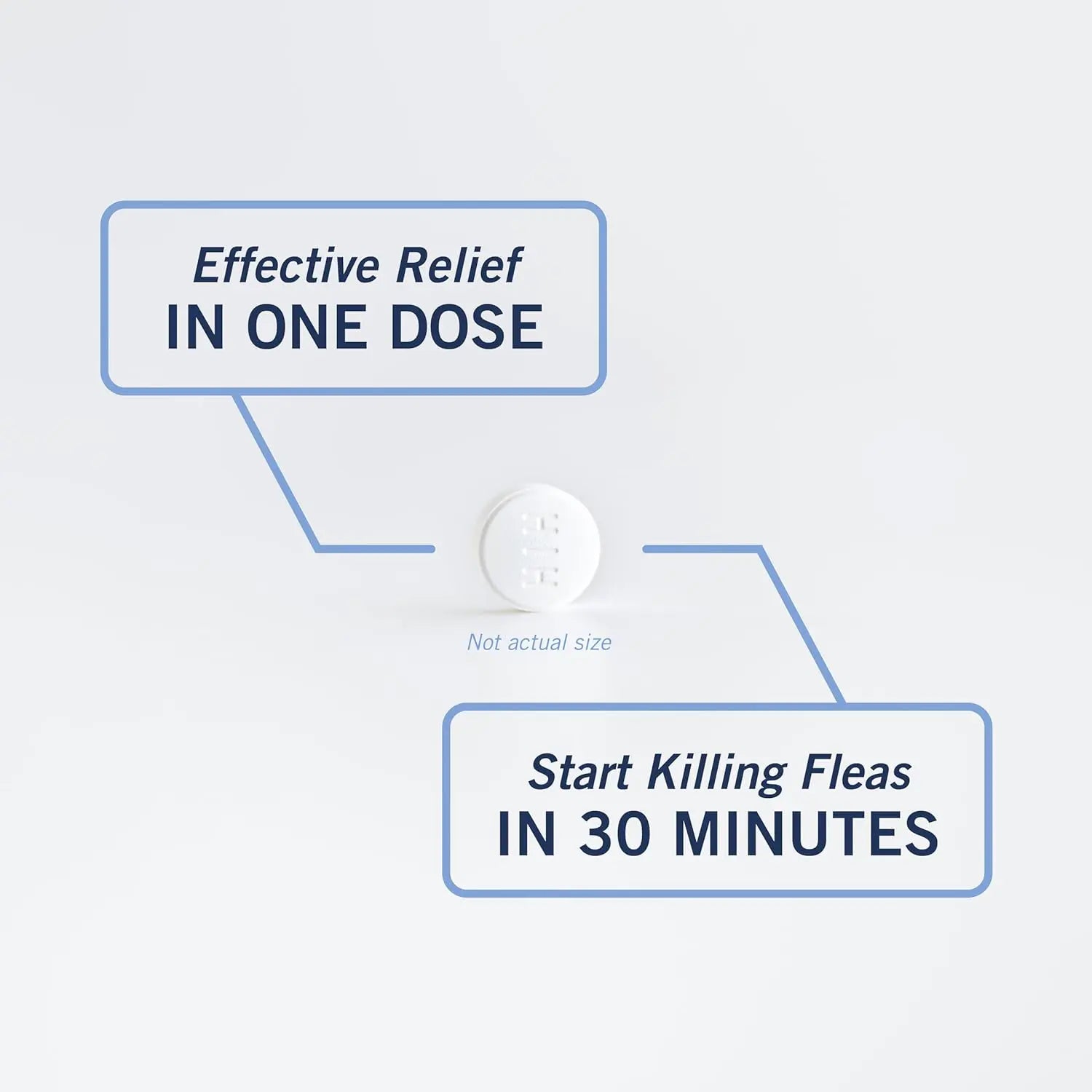 CAPACTION Oral Flea Tablets for Cats 2–25 lbs – 6 Doses, Fast-Acting Relief