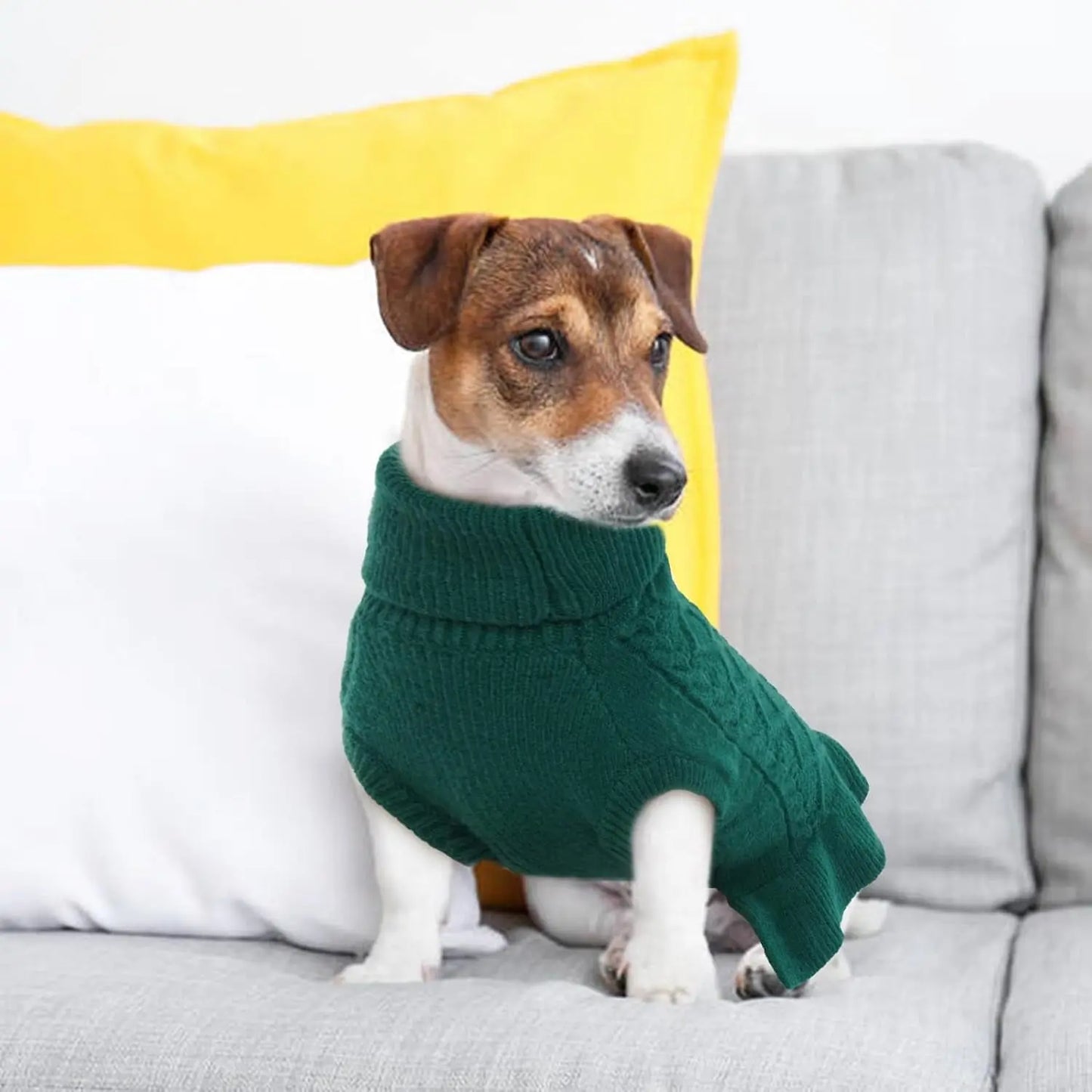 Cable Knit Dog Sweater Dress | Soft Turtleneck Warm Pet Pullover (XS–XL)