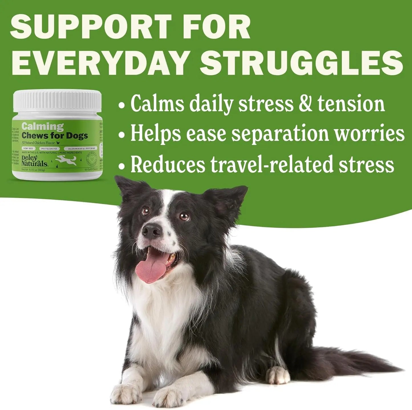 Calming Chews for Dogs, Vet-Reviewed Anxiety Support Treats, Hemp-Free