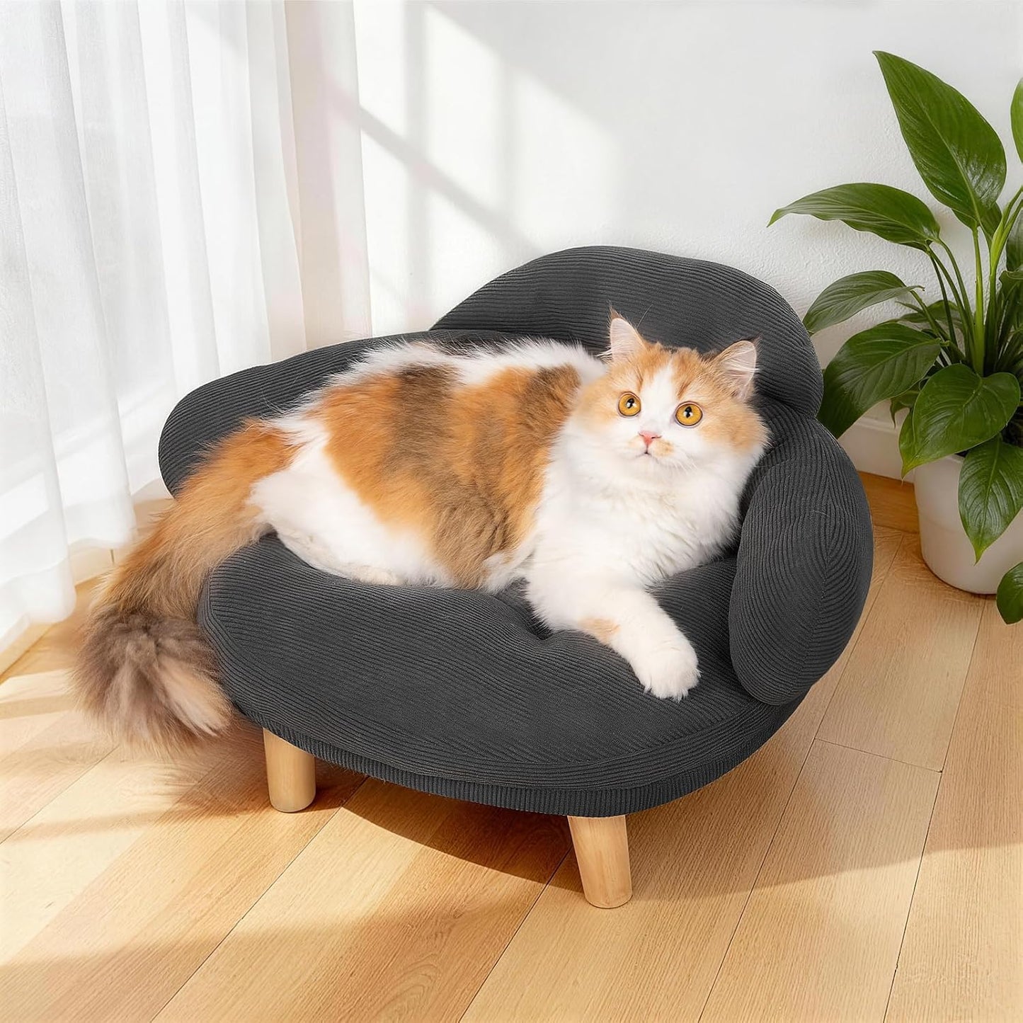 Cat Sofa Bed Furniture Style Velvet Pet Couch with Wood Legs Small Dogs Gray
