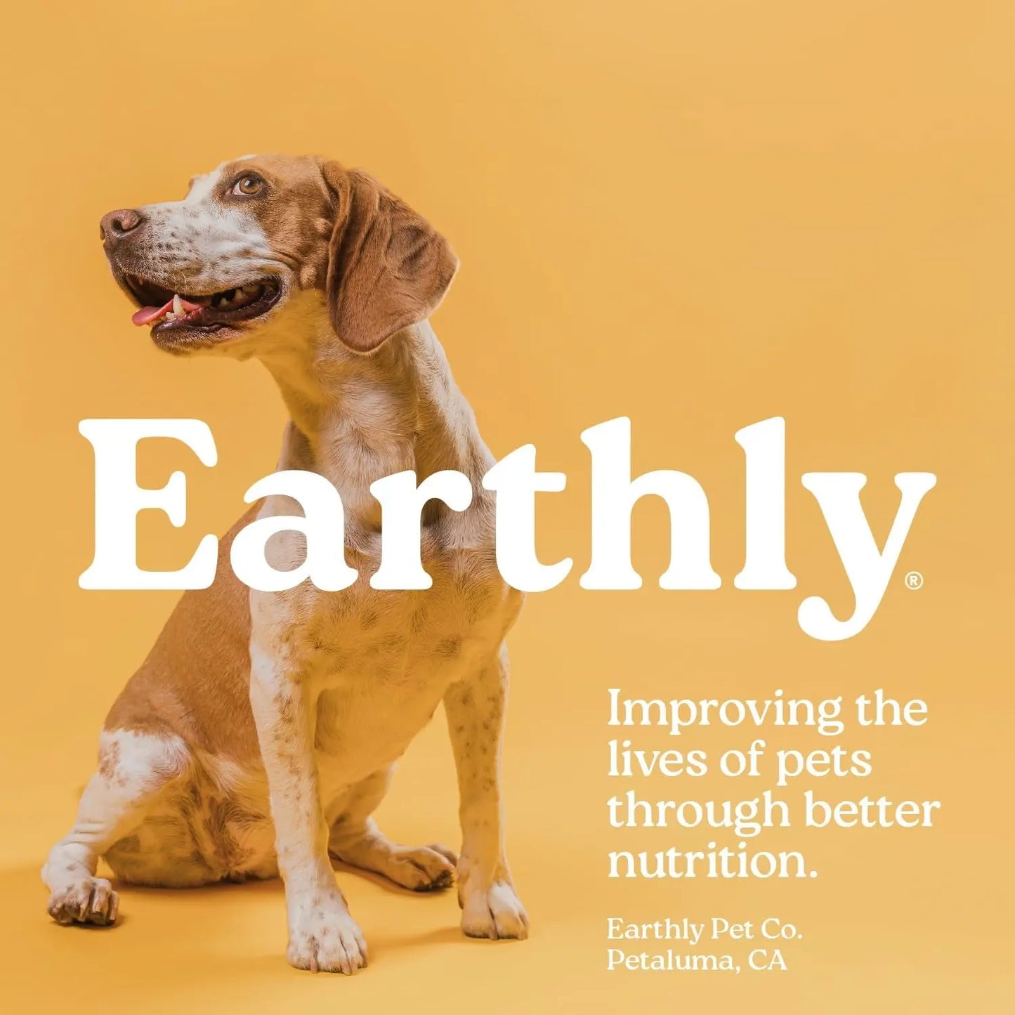 Cat Sushi Bonito Flakes Treats, 100% Pure Tuna Meal Topper for Cats