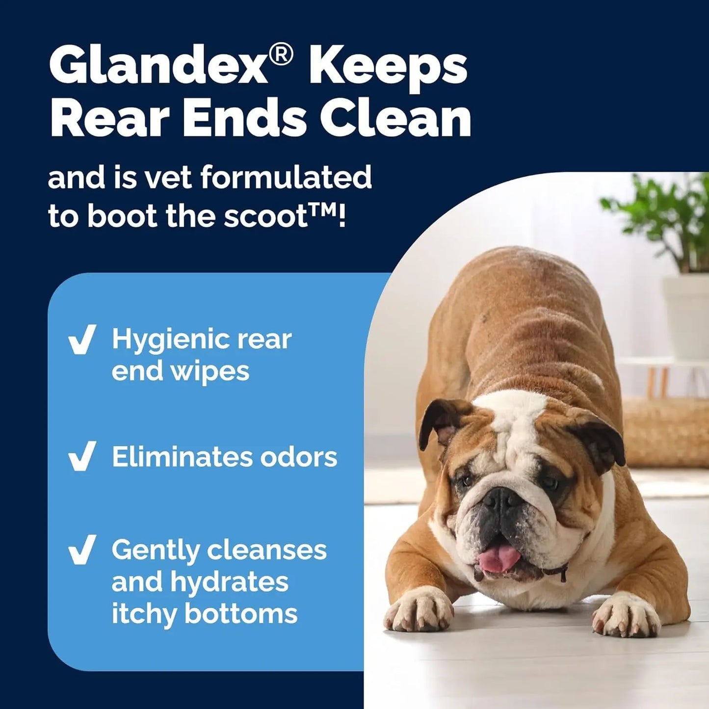 Cat & Dog Anal Gland Wipes Deodorizing Aloe Vitamin E Grooming Wipes 75-100Ct