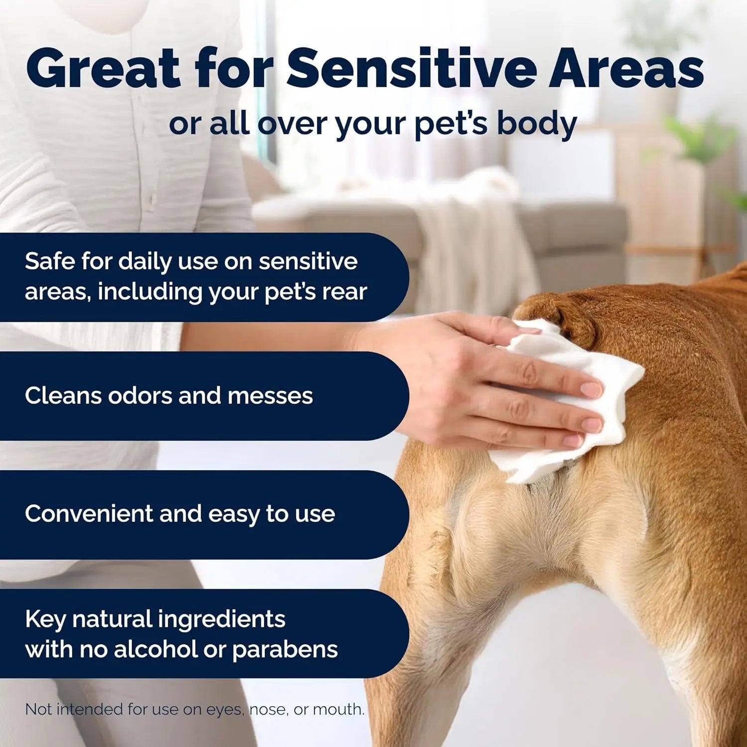 Cat & Dog Anal Gland Wipes Deodorizing Aloe Vitamin E Grooming Wipes 75-100Ct