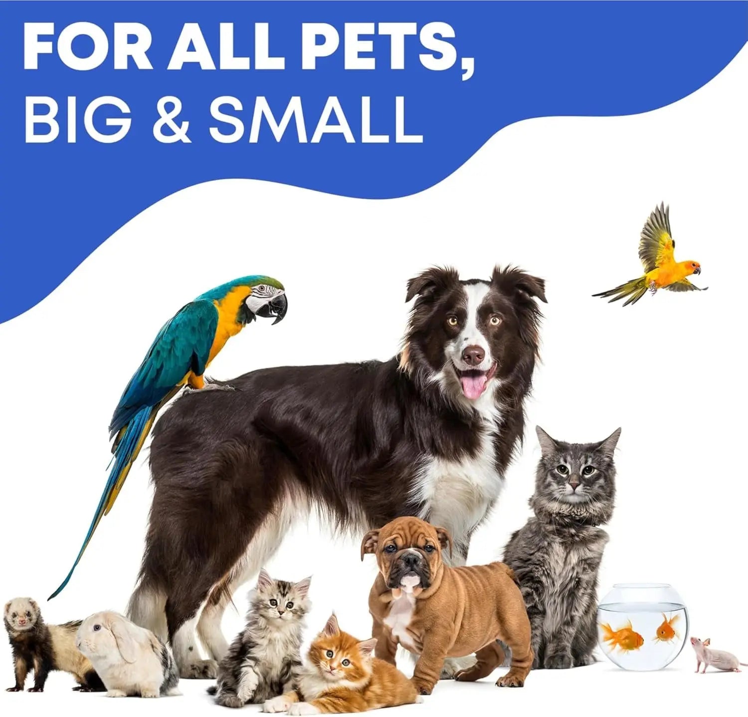 Cat & Dog Ear Cleaner Drops, Yeast & Wax Flush for Itchy Ears, Vet Formula