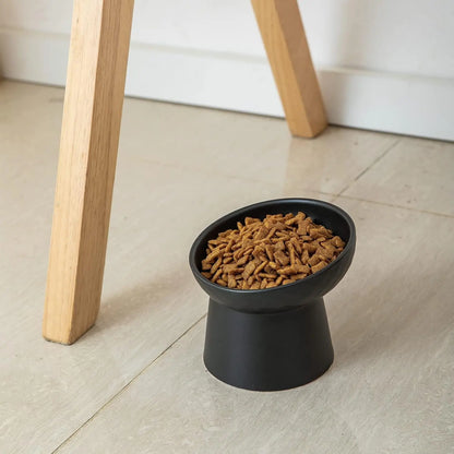 Ceramic Raised Tilted Cat Bowls Set of 2, Elevated Porcelain Feeder