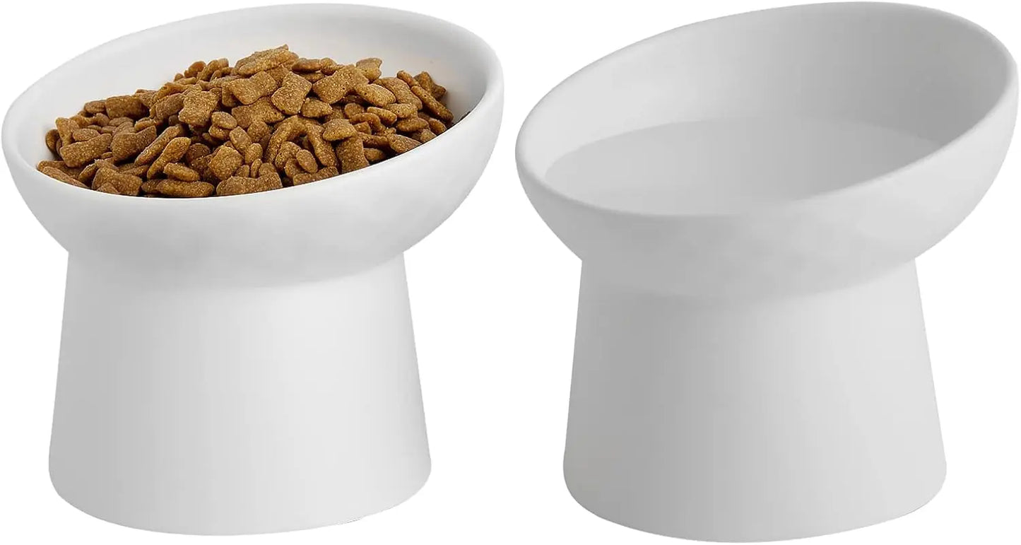 Ceramic Raised Tilted Cat Bowls Set of 2, Elevated Porcelain Feeder White-2Pc