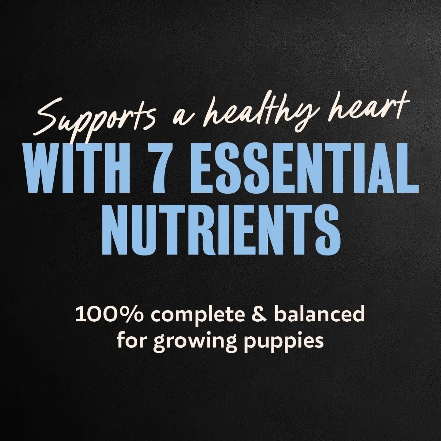 Cesar Puppy Classic Wet Dog Food Chicken & Beef or Variety Pack 3.5oz 24ct