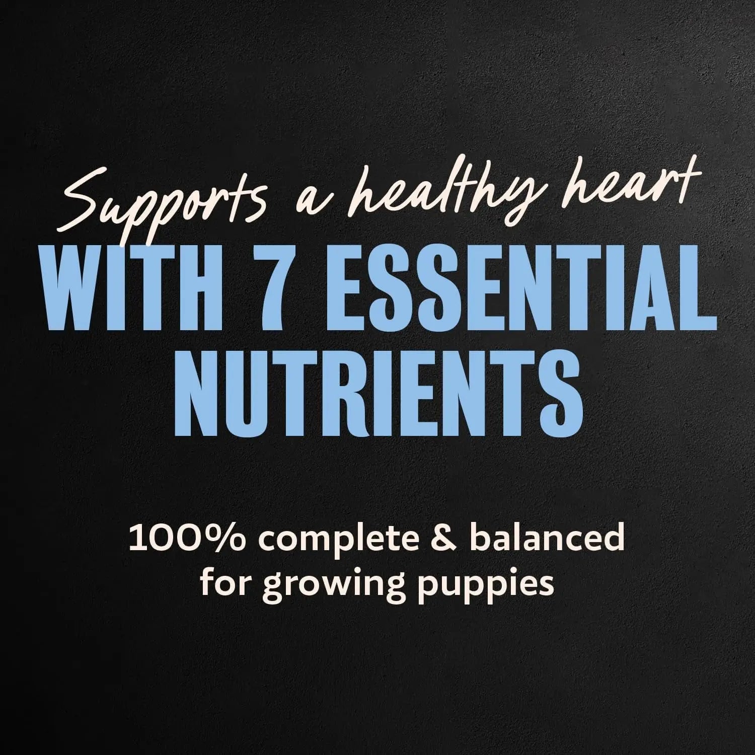 Cesar Puppy Classic Wet Dog Food Chicken & Beef or Variety Pack 3.5oz 24ct