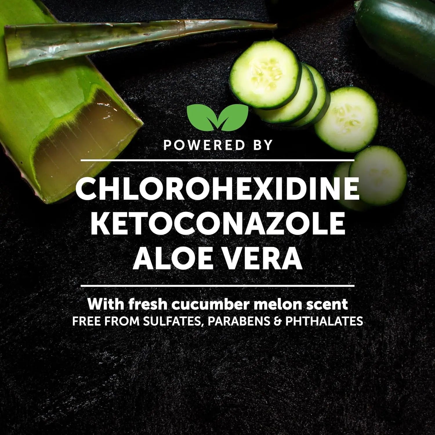 Chlorhexidine Itch Relief Pet Shampoo – Dogs & Cats, 16oz for Allergies, Itching, Skin and Coat Supplement