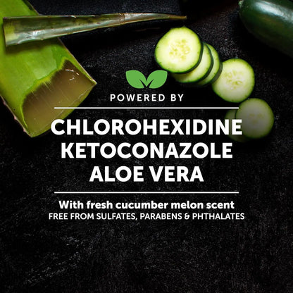 Chlorhexidine Itch Relief Pet Shampoo – Dogs & Cats, 16oz for Allergies, Itching, Skin and Coat Supplement